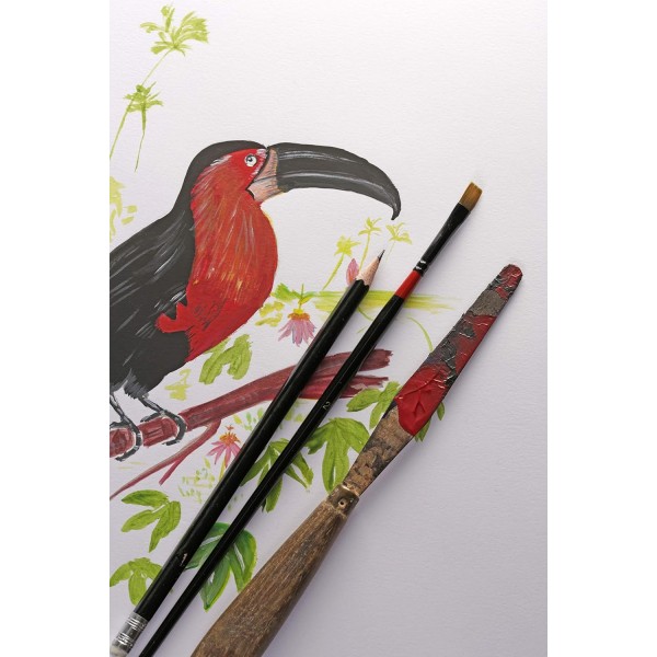 Clairefontaine 975173C Block Paint'On (50장, 머리 부분 접착, 250g, 17.6 x 25cm) 1개 모듬 색상 17.6 x 25 cm