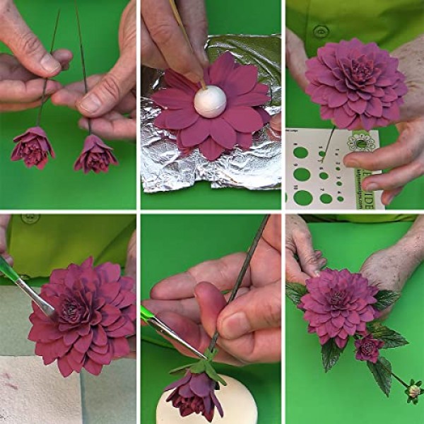 Flower Pro 'Summer Flowers' 마스터 클래스 컬렉션 USB 케이크 장식 및 공예용 USB 1권(Katy Sue 출연 셰프 Nicholas Lodge)