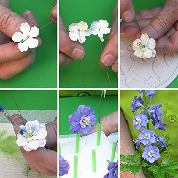 Flower Pro 'Summer Flowers' 마스터 클래스 컬렉션 USB 케이크 장식 및 공예용 USB 1권(Katy Sue 출연 셰프 Nicholas Lodge)