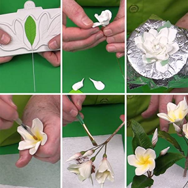 Flower Pro 'Summer Flowers' 마스터 클래스 컬렉션 USB 케이크 장식 및 공예용 USB 1권(Katy Sue 출연 셰프 Nicholas Lodge)