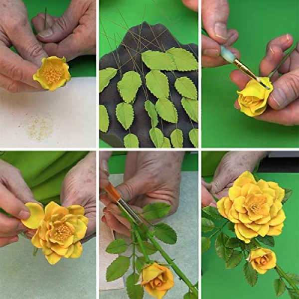 Flower Pro 'Summer Flowers' 마스터 클래스 컬렉션 USB 케이크 장식 및 공예용 USB 1권(Katy Sue 출연 셰프 Nicholas Lodge)