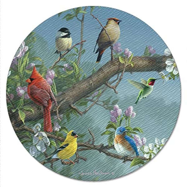 CounterArt Beautiful Songbirds 4mm 내열성 강화 유리 게으른 수잔 턴테이블 13