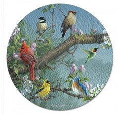 CounterArt Beautiful Songbirds 4mm 내열성 강화 유리 게으른 수잔 턴테이블 13