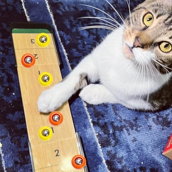 TOPZEA 32 조각 미니 셔플 보드 교체 퍽, 셔플 보드 롤러 세트 데스크탑 무료 슬라이딩 비즈 탁상용 컬링 게임 액세서리 실내 레저 용 장비