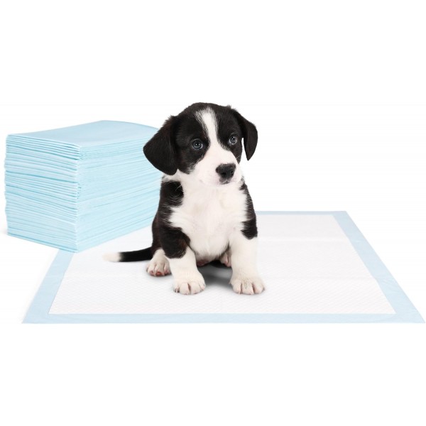 EVERANIMALS 100 강아지 패드 60x60 cm - 손쉬운 강아지 훈련을 위한 무취 유인 물질, 집을 보호하기 위한 추가 흡수성 강아지 패드 100개