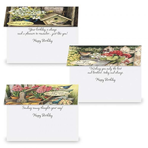 Susan Winget 생일 인사말 카드 밸류 팩 - 20개 세트(10개 디자인), 대형 5