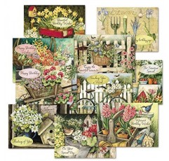 Susan Winget 생일 인사말 카드 밸류 팩 - 20개 세트(10개 디자인), 대형 5