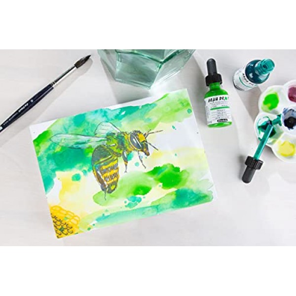 Schmincke - AQUA DROP, 액체, 안료 기반 수채화, 인디고 블루, 30ml 피펫 병, 24460034, 수채화 페인팅, 도시 스케치, 캘리그래피, 핸들터링, 내광성