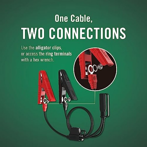 Battery Tender Plus 12V 배터리 충전기 및 유지관리자: 오토바이, ATV, UTV용 1.25 AMP Powersport 배터리 충전기 및 유지관리자 - 스마트 12V 자동 플로트 충전기 - 021-0128