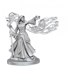 D&D 프레임워크: Elf Wizard Female - 도색되지 않고 조립되지 않음