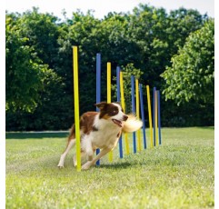 애완 동물 프라임 야외 Hund Hindernis 민첩성 훈련 Trainingsausrüstung 키트, Hund 민첩성 장비 세트 -12PCS Weave Pole Set 12PC Weave Pole 세트
