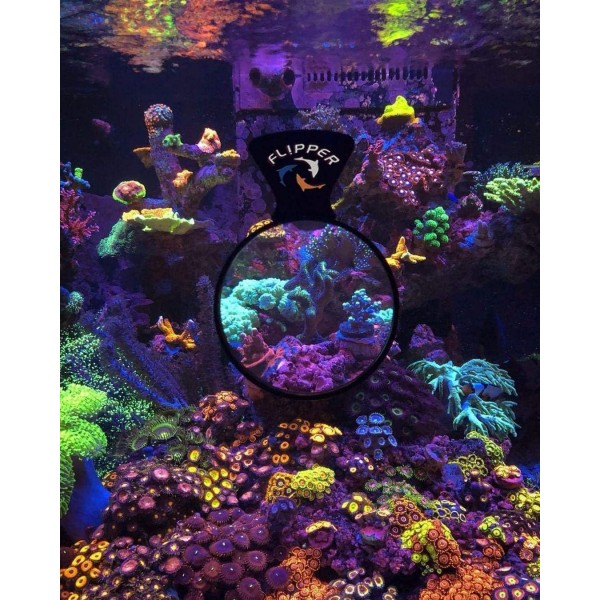 FL!PPER DeepSee 수족관 돋보기 자기 뷰어 - 어항 돋보기 - 사진에 적합한 자기 돋보기 - 핀볼 어항 액세서리 3