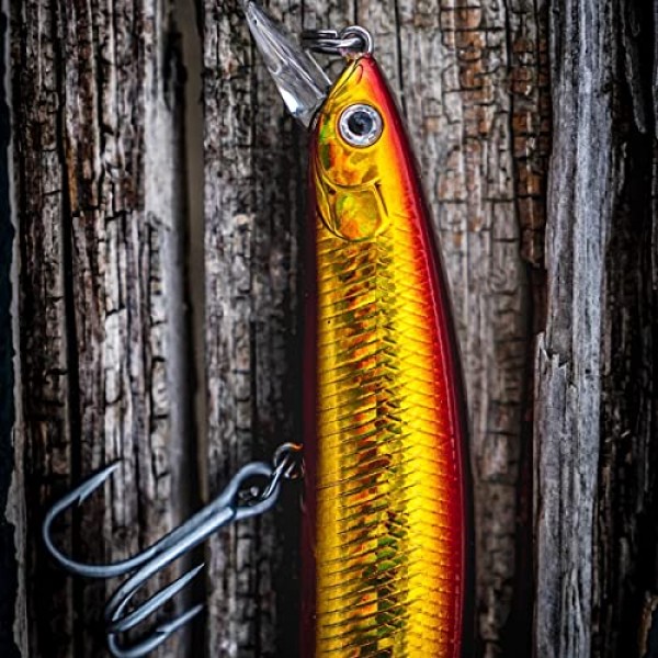 다이와 디아와 Sp Dspm