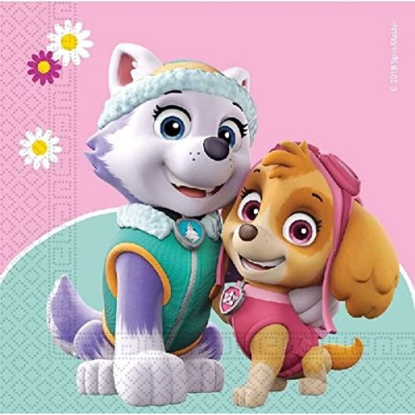Paw Patrol Party Girl Skye 및 Everest Partyware 16인용 세트, 접시, 컵, 냅킨, 테이블 커버 배너