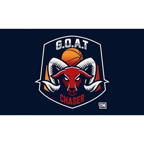 보스턴 셀틱스 농구 카드: Jayson Tatum, Al Horford, Jaylen Brown, Kristaps Porzingis, Derrick White, Jrue Holiday, Larry Bird 다양한 농구 스타 및 염소 트레이딩 카드 및 손목 밴드 선물 팩