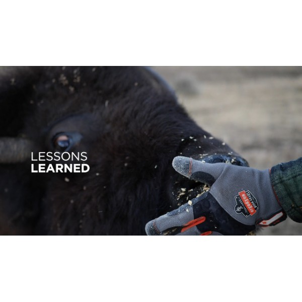 Ergodyne ProFlex 9012 진동 방지 작업 장갑, ANSI/ISO 인증, 전체 손가락, 손목 지지대, 대형, 검정색