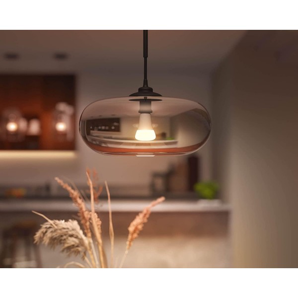 Philips Hue White Ambiance E27 싱글 팩 806lm, 밝기 조절 가능, 모든 흰색 음영, 앱을 통해 제어 가능, Amazon Alexa(Echo, Echo Dot)와 호환 가능