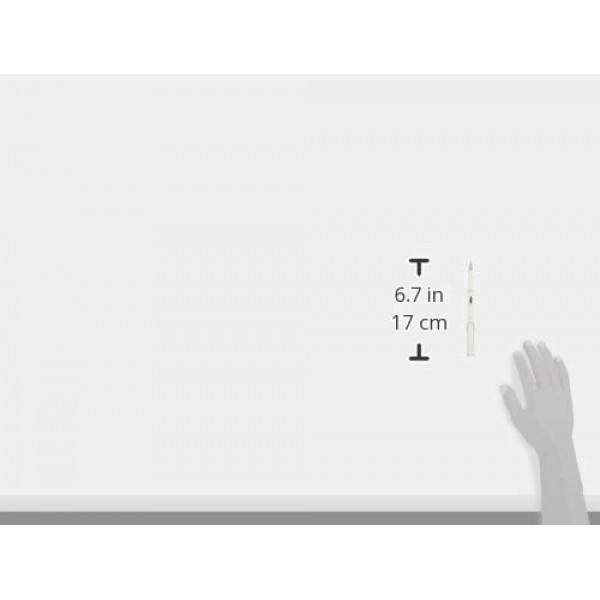 라미 사파리 화이트 만년필 - Fine Nib L19-WE-F
