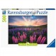 Ravensburger - 성인 직소 퍼즐 - 500피스 퍼즐 - Lupins(Nature Edition) - 성인 및 12세 어린이 - 프리미엄 직소 퍼즐 - 17492