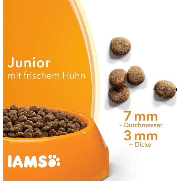 IAMS for Vitality Junior Cat Food with 치킨 - 1-12개월령 고양이용 건조사료, 10kg 치킨 10kg (1팩)
