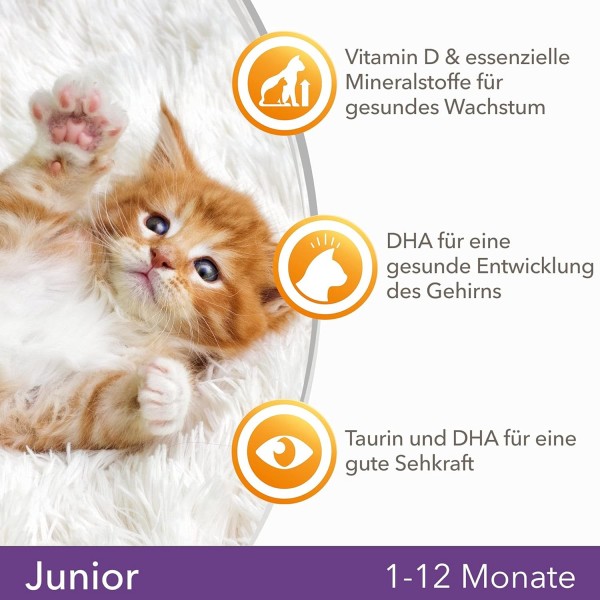 IAMS for Vitality Junior Cat Food with 치킨 - 1-12개월령 고양이용 건조사료, 10kg 치킨 10kg (1팩)