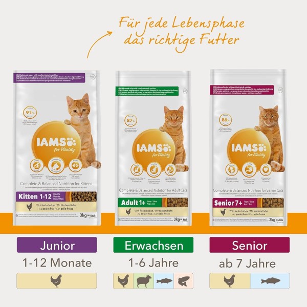 IAMS for Vitality Junior Cat Food with 치킨 - 1-12개월령 고양이용 건조사료, 10kg 치킨 10kg (1팩)