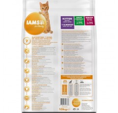 IAMS for Vitality Junior Cat Food with 치킨 - 1-12개월령 고양이용 건조사료, 10kg 치킨 10kg (1팩)
