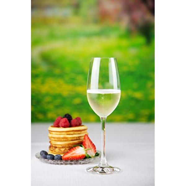 Nachtmann Vivino 샴페인 잔, 4개(1팩), 투명