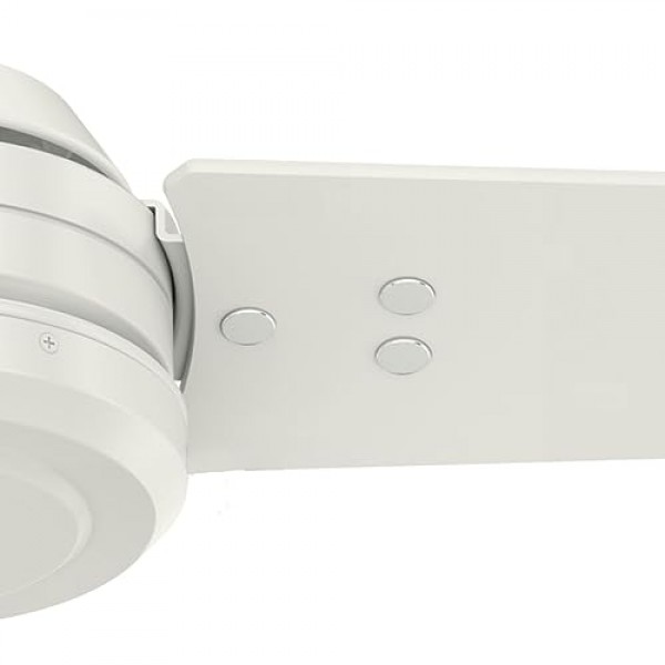 HUNTER FAN 천장 팬 Protos 132cm 실내 및 실외 및 벽 제어 장치, 신선한 흰색, 3개의 양면 블레이드, 신선한 흰색 및 밝은 줄무늬, 여름 또는 겨울에 이상적, 모델 50623