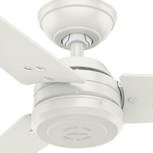 HUNTER FAN 천장 팬 Protos 132cm 실내 및 실외 및 벽 제어 장치, 신선한 흰색, 3개의 양면 블레이드, 신선한 흰색 및 밝은 줄무늬, 여름 또는 겨울에 이상적, 모델 50623