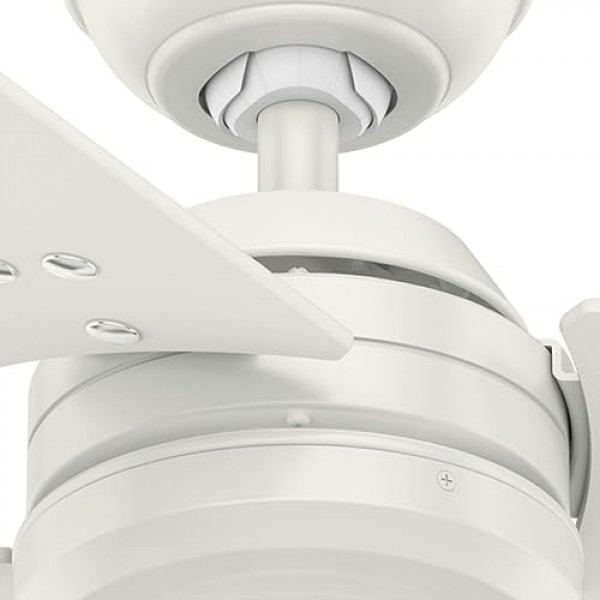 HUNTER FAN 천장 팬 Protos 132cm 실내 및 실외 및 벽 제어 장치, 신선한 흰색, 3개의 양면 블레이드, 신선한 흰색 및 밝은 줄무늬, 여름 또는 겨울에 이상적, 모델 50623