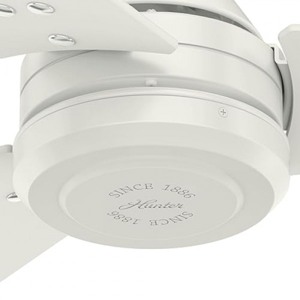 HUNTER FAN 천장 팬 Protos 132cm 실내 및 실외 및 벽 제어 장치, 신선한 흰색, 3개의 양면 블레이드, 신선한 흰색 및 밝은 줄무늬, 여름 또는 겨울에 이상적, 모델 50623