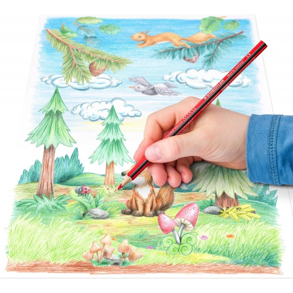 STAEDTLER 색연필 Noris 색상, 인체공학적 삼각형 형식, 미끄럼 방지 부드러운 표면, 높은 파손 저항성, 업사이클 목재로 제작, 카드보드 케이스에 담긴 색연필 36개, 187 CD36
