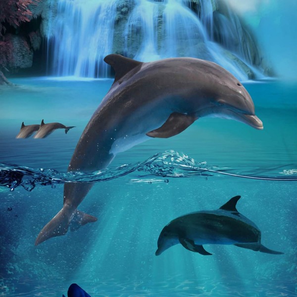 ESPiCO Bedding Trendy Bedding Will Blue Blue Dolphins Fish Sea Ocean Waterfall Renforcé, Size:135 cm x 200 cm 135 cm x 200 cm 009