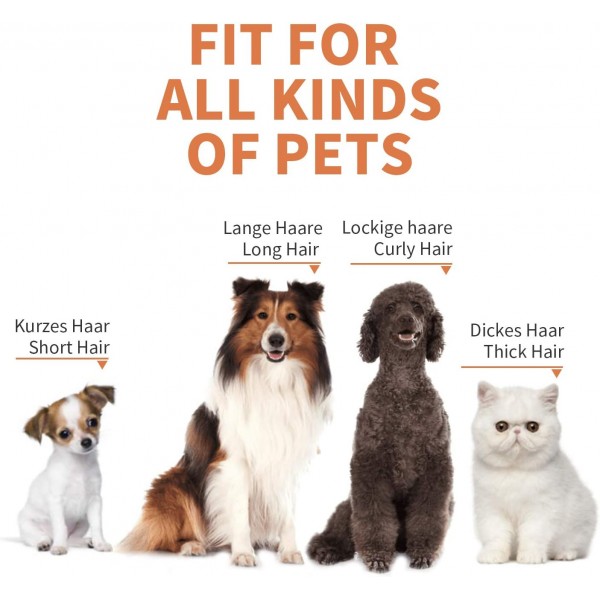 Toozey Quiet Clipper Dog and Cat for Thick/Long/Short/Curly - 충전식 무선 애완 동물 헤어 트리머 - 모든 애완 동물을 위한 전문 헤어 클리퍼 그루밍 키트(골든)