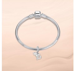 Annmors Dog & Cat Lovers 팔찌용 참, 큐빅 지르코니아가 있는 925 스털링 실버 펜던트, Friend of the Paws, 주얼리 컬렉션 15주년 기념