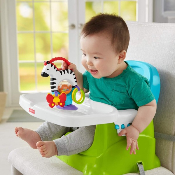 Fisher-Price FGH80 활동 얼룩말 장난감