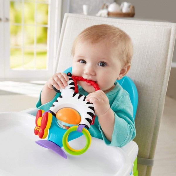 Fisher-Price FGH80 활동 얼룩말 장난감