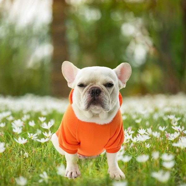 XiXiRan Dog Hoodie Cotton, Dog Coat, Pet Dog Warm, Hooded Dog Sweater Pet Clothes Dog Cat Clothes, Dog Clothes Winter (XXL, Orange) XXL Orange