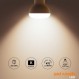 paul russells LED 전구 소형 에디슨 나사 E14, 40w 백열 전구 등가, 6W 470LM LED 전구, 멋진 흰색 4000K, 젖빛 스포트라이트 SES R50 에너지 절약 전구 6개 팩