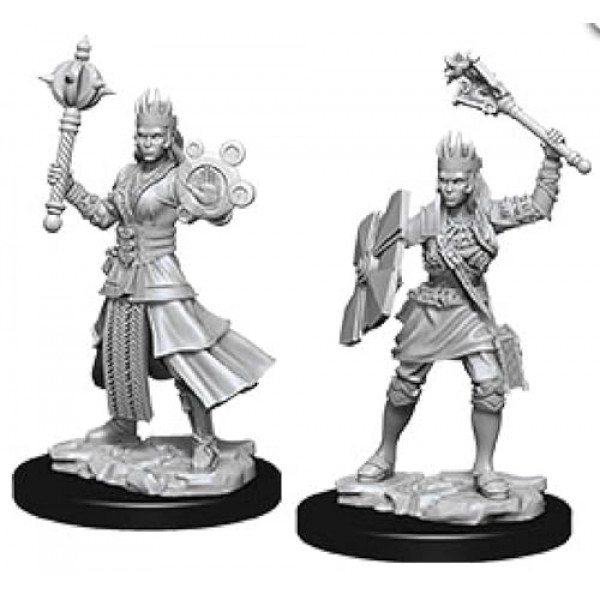 D&D Nolzurs 놀라운 도색되지 않은 미니어처: 웨이브 8: 인간 여성 성직자