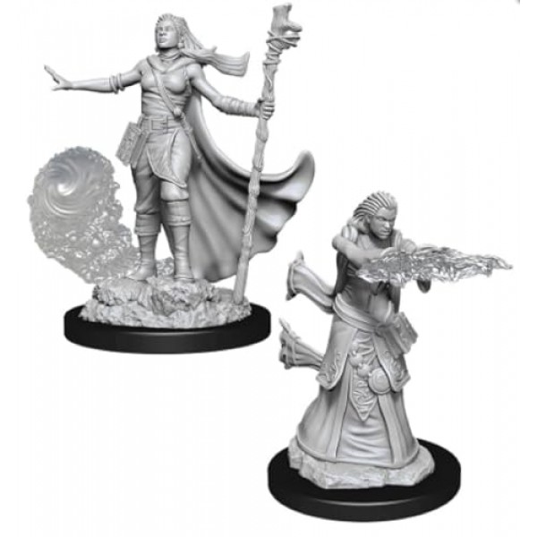D&D Nolzurs 놀라운 도색되지 않은 미니어처: 웨이브 8: 인간 여성 성직자