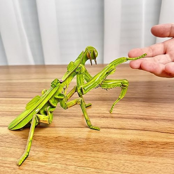 STEM 프로젝트 7세 이상 어린이를 위한 친환경 유치원 장난감, 어린이를 위한 거대한 아시아 사마귀 3D 종이 퍼즐, 생일, 크리스마스, 휴일을 위한 학습 장난감…