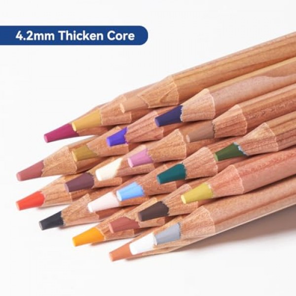 LIGHTWISH 전문 컬러 숯 연필, 예술가 등급, 24 색 파스텔 분필 연필 선물 금속 상자에 설정, 초보자 성인 예술가 음영 드로잉 레이어링 블렌딩