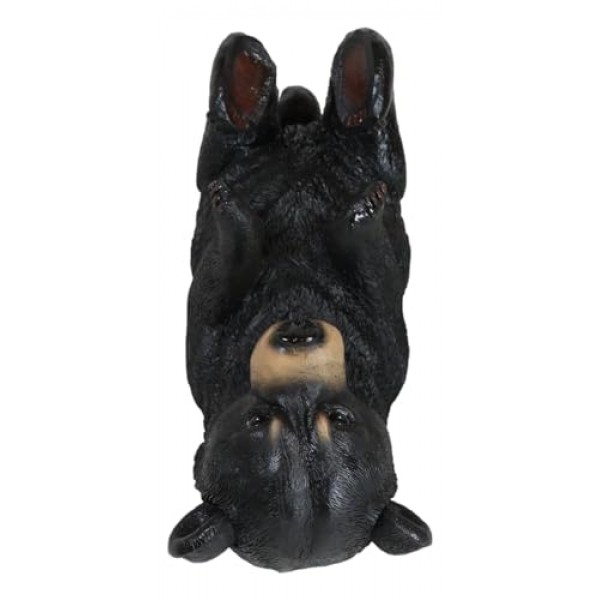 Ebros 선물 소박한 서부 숲 동물 술취한 검은 곰 와인 오일 병 홀더 입상 10 