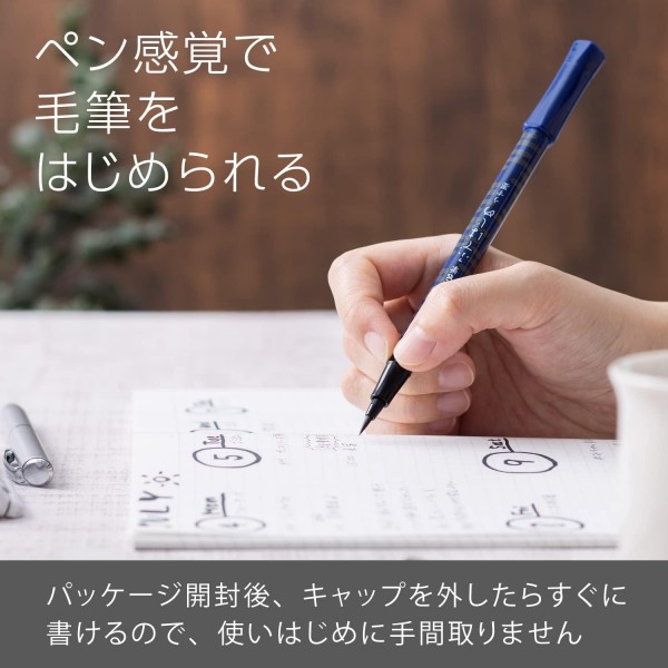 펜텔 XGFD40CA-N 브러쉬 펜 펜텔 브러쉬 Fude Jime Mist Pattern Thin Ink Haze Pattern Unique Item
