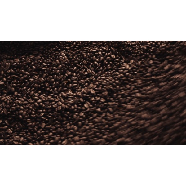 Caffe Appassionato 유기농 그늘에서 재배된 에스프레소 로스트 홀빈 커피, 5파운드 봉지