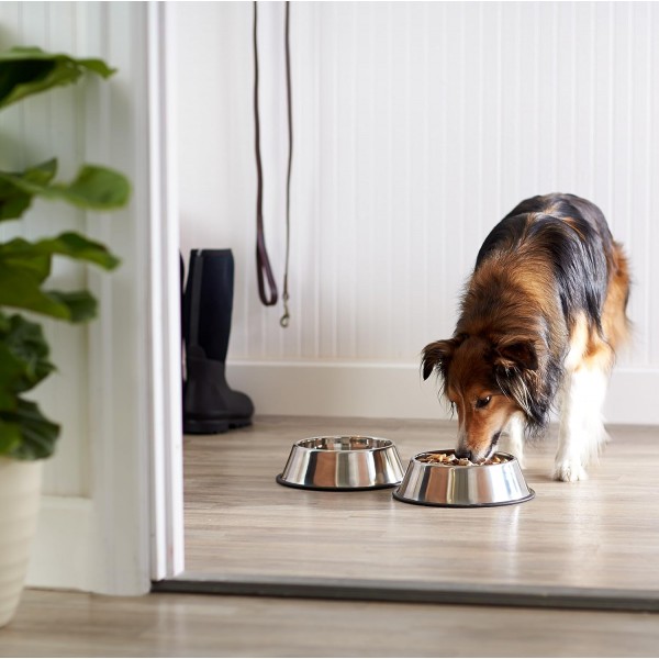Amazon Basics Dog Bowl, 스테인리스 스틸, 2팩, 946ml 2팩