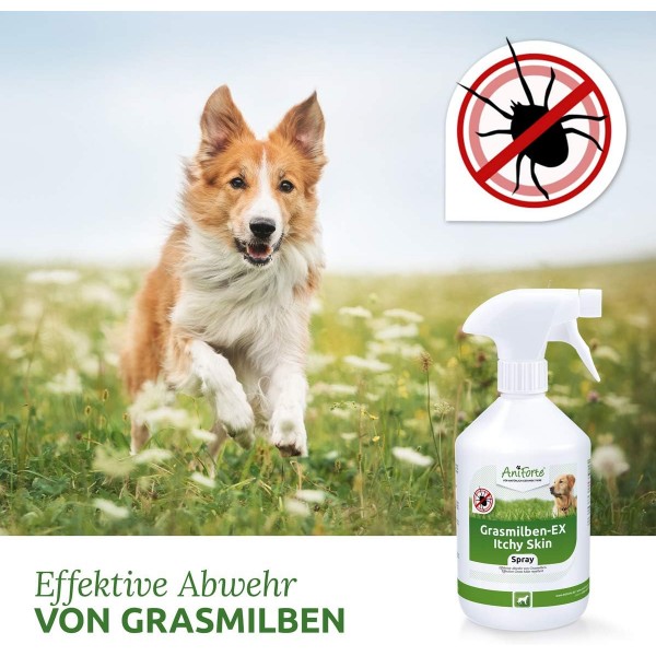 AniForte Grass Mite EX 스프레이 500ml Grass Mite EX 스프레이 - 개를 위한 잔디 진드기 스프레이, 잔디 진드기 및 기생충에 대한 효과적이고 장기적인 방어, 자극받은 피부 진정