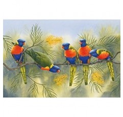 Maxwell & Williams PBD050 Birds of Australia 머그 커피 머그 로리스 머그 인 기프트 박스 도자기 세트 1(1팩)